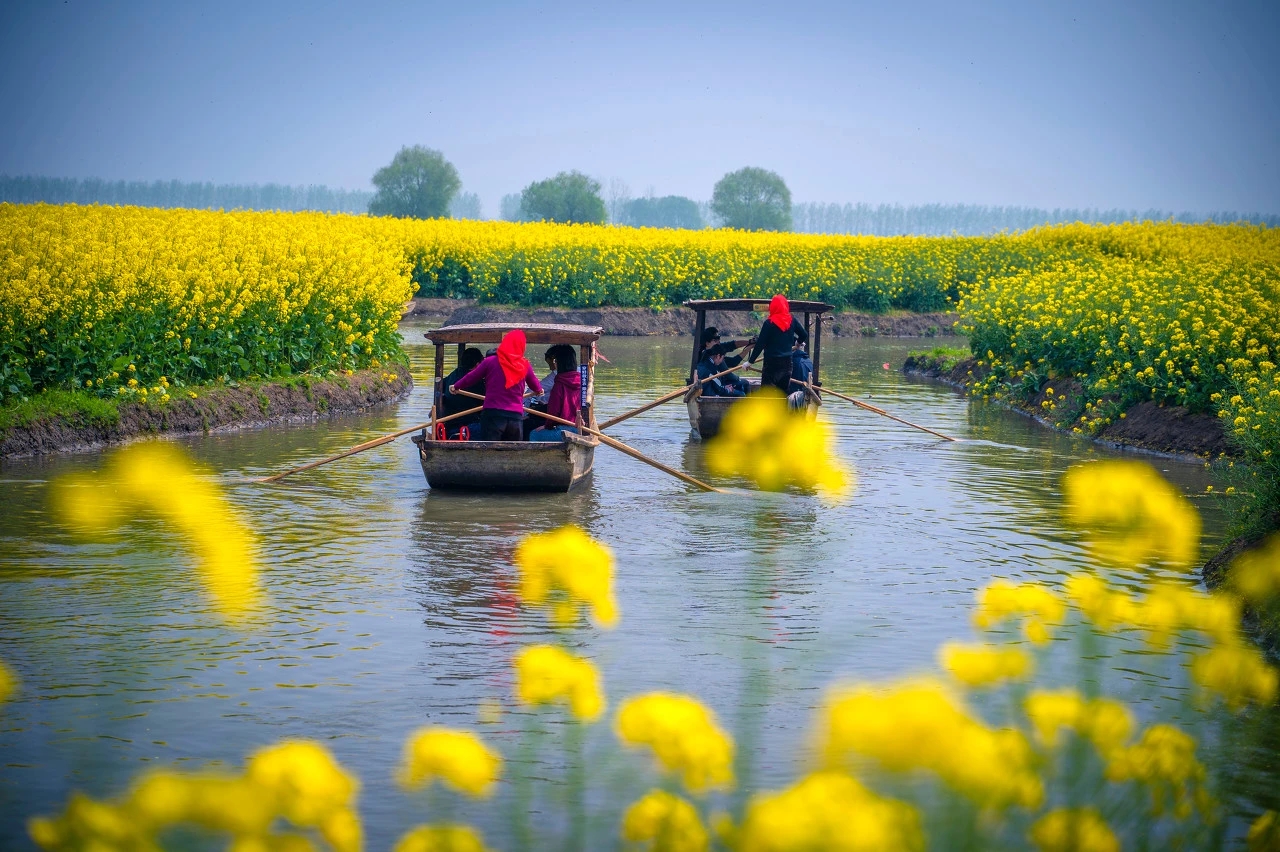 和春天一起，共赴油菜花海