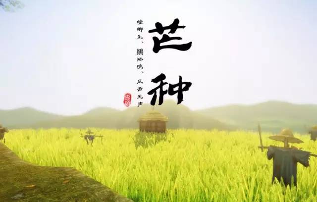 時(shí)雨芒種希望遍野