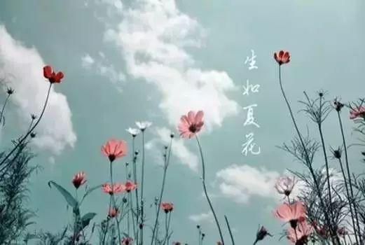 花樣年華，生如夏花