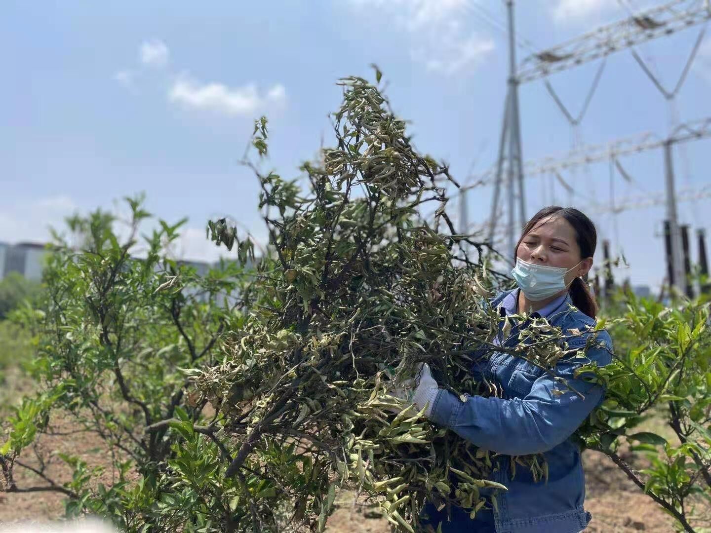 嘿 我們這個(gè)班