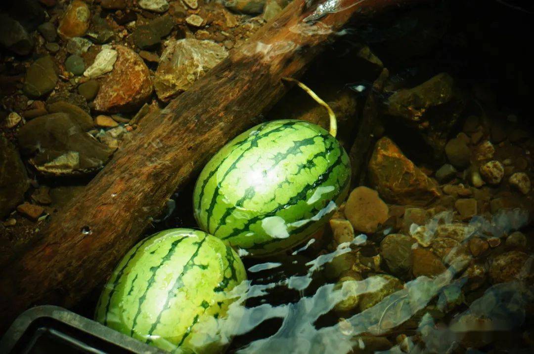 井水鎮(zhèn)西瓜，才是夏天的味道