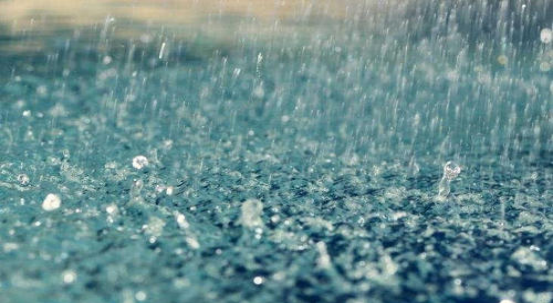 夏 天 的 雨