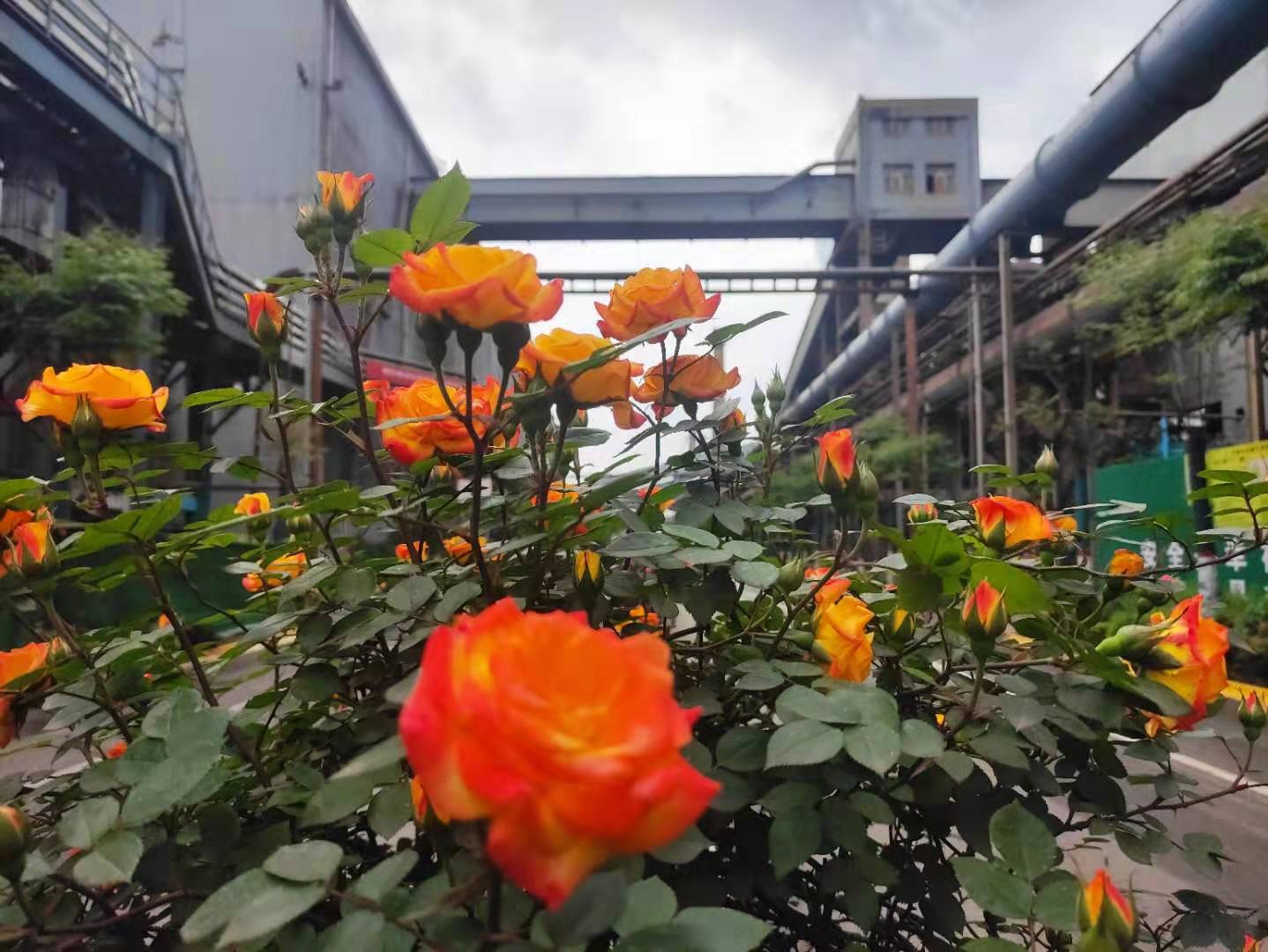 多彩鋼城，共建共享