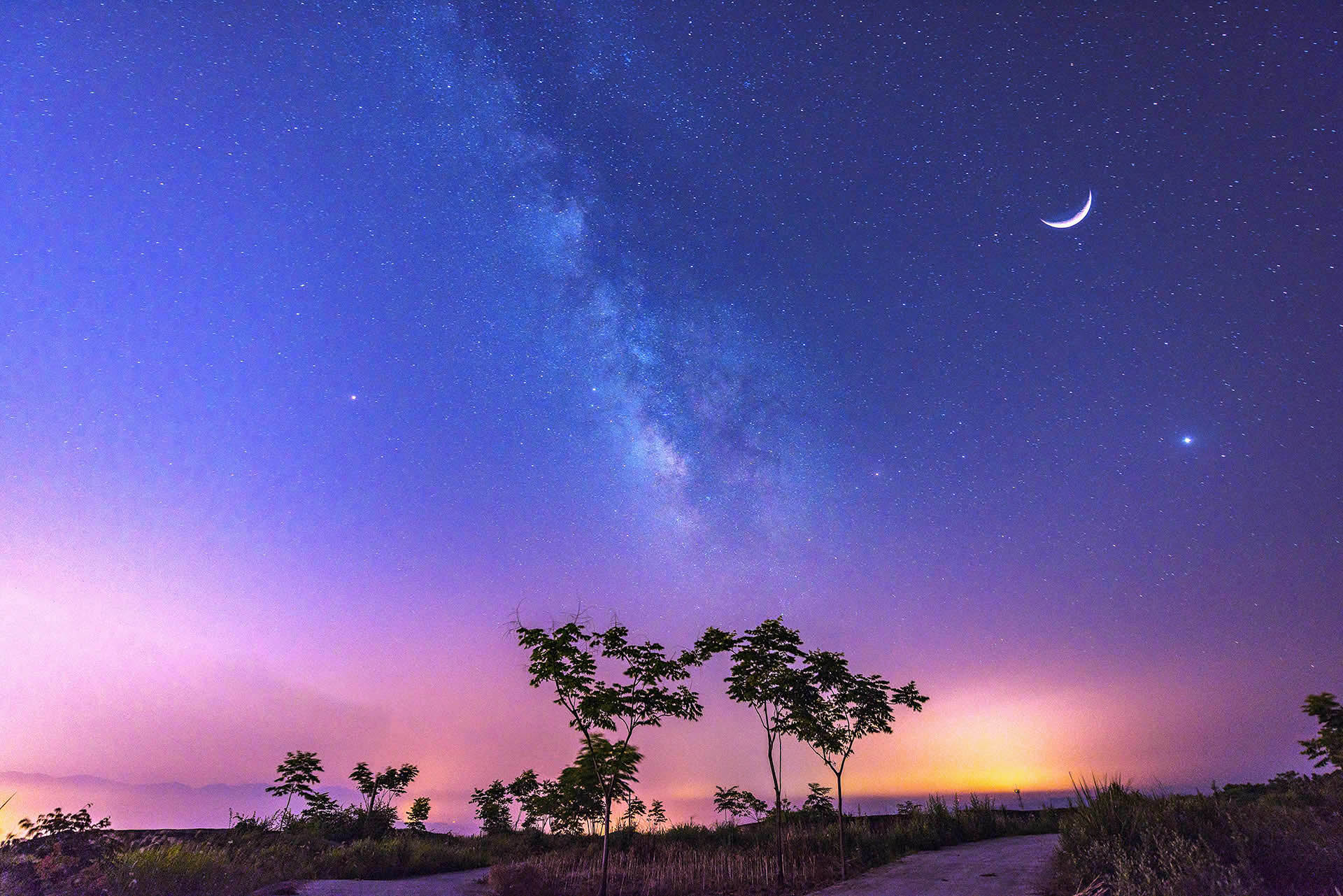 夢回仲夏夜