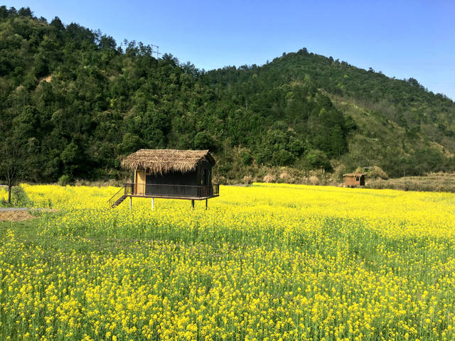讀《心》有感