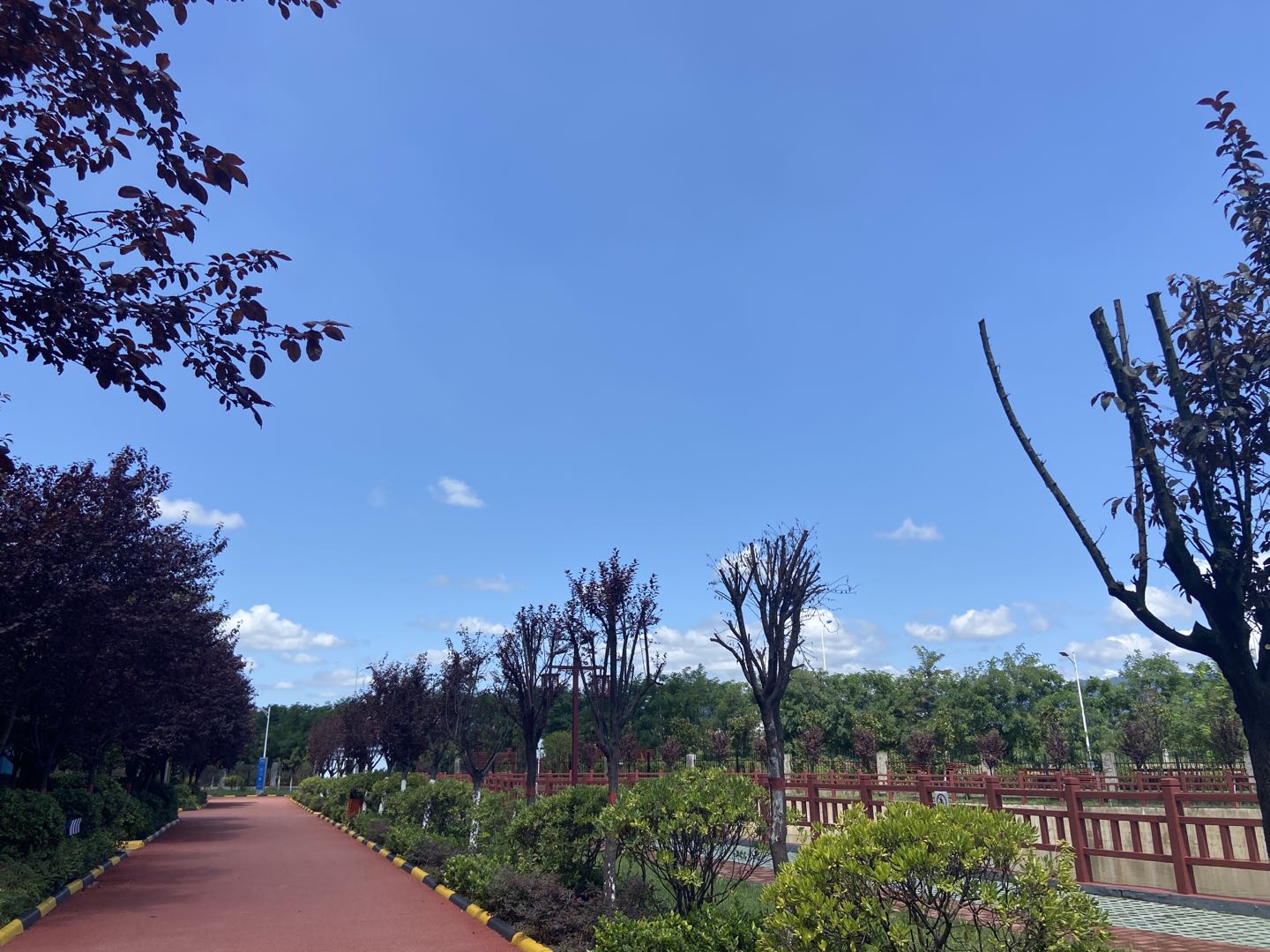 又到風(fēng)起葉落時(shí)！漢鋼那么美，我想帶你去看看