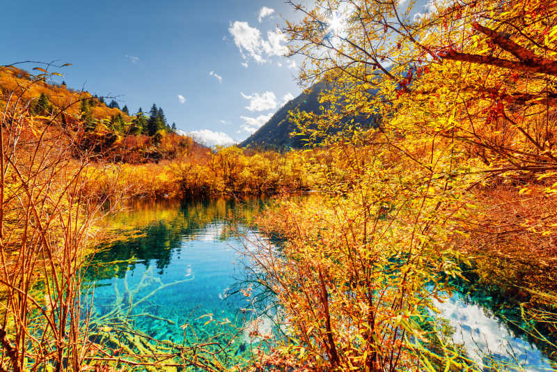 共秋色，紅塵馳騁