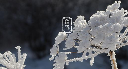 霜降隨感