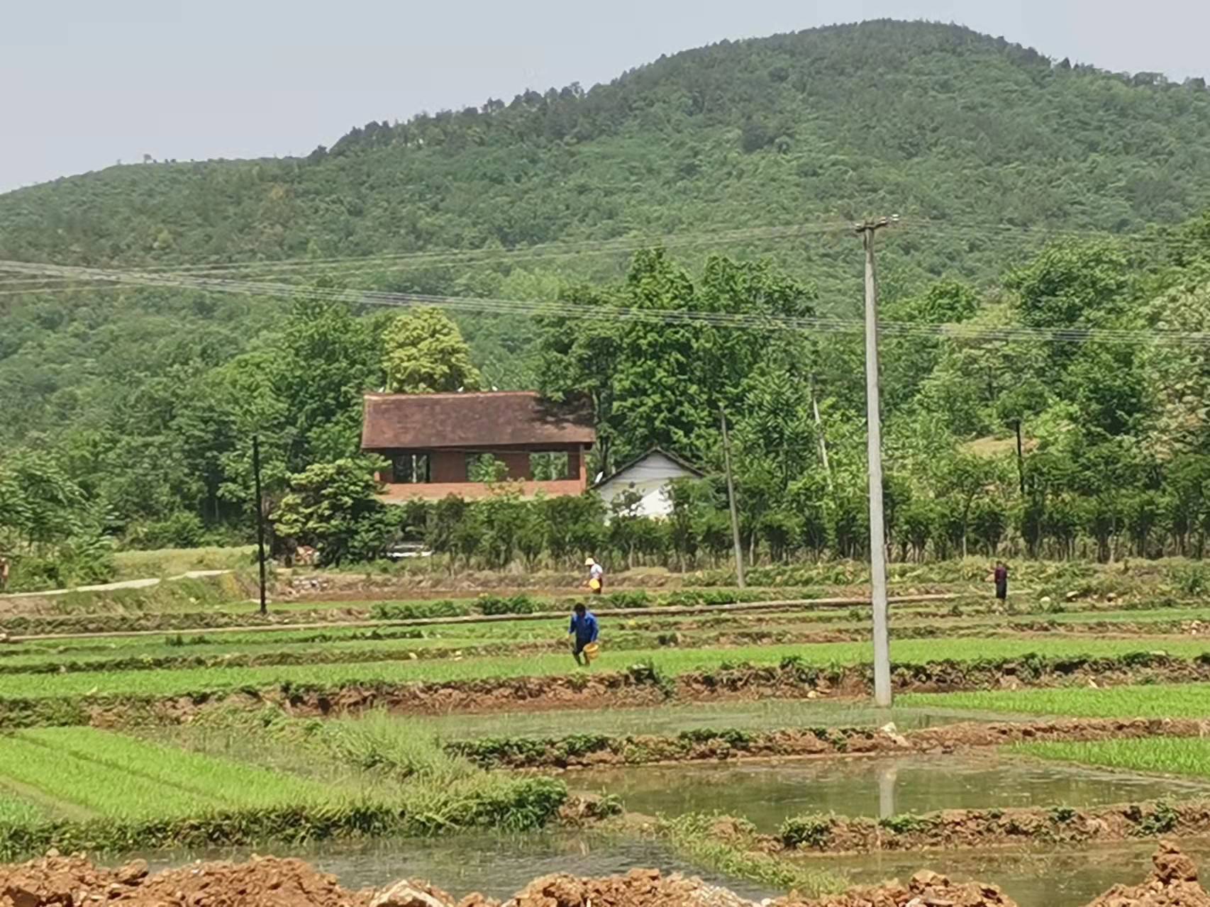 大山深處有人家