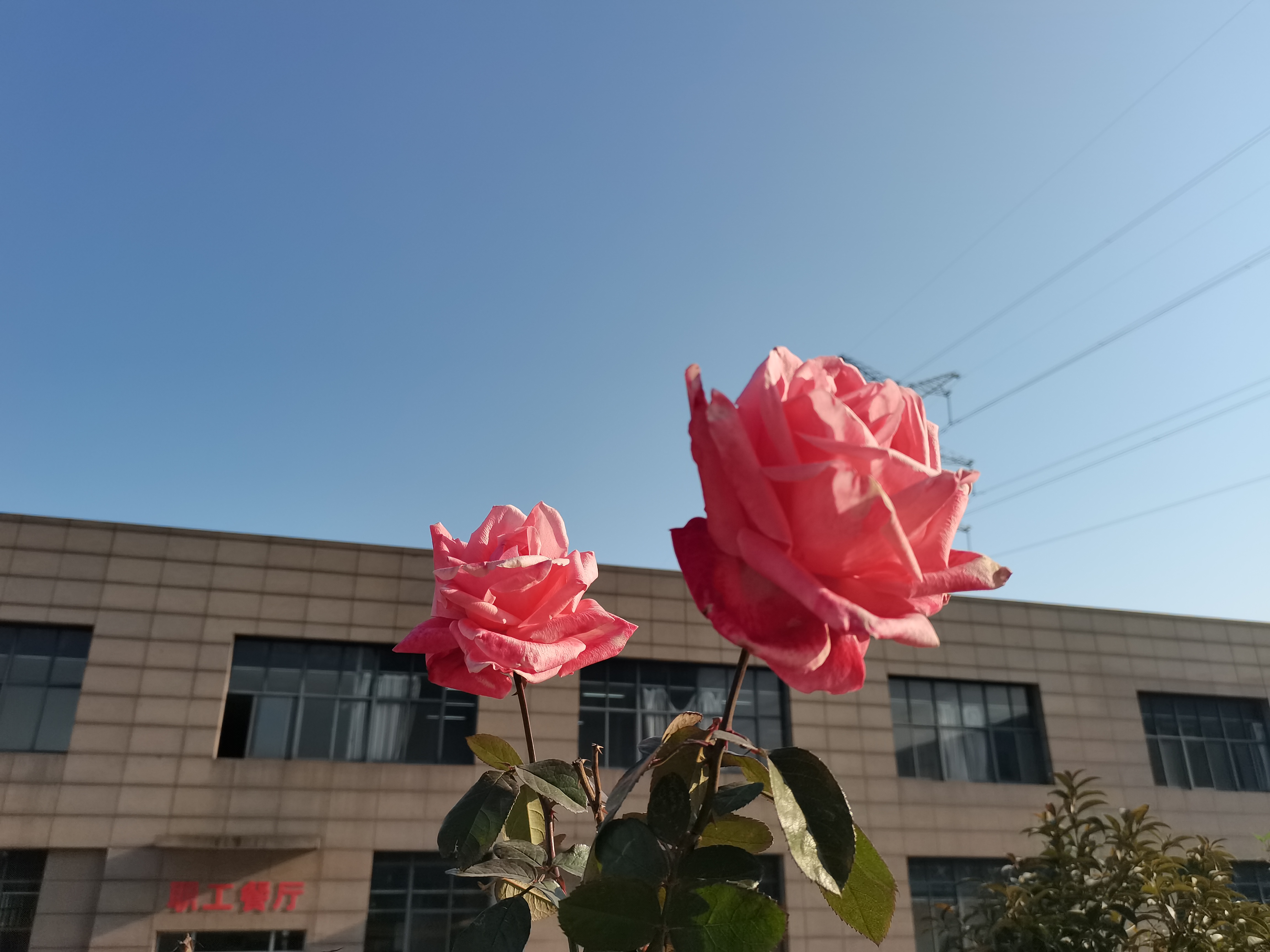 手機(jī)里的幸福時(shí)光