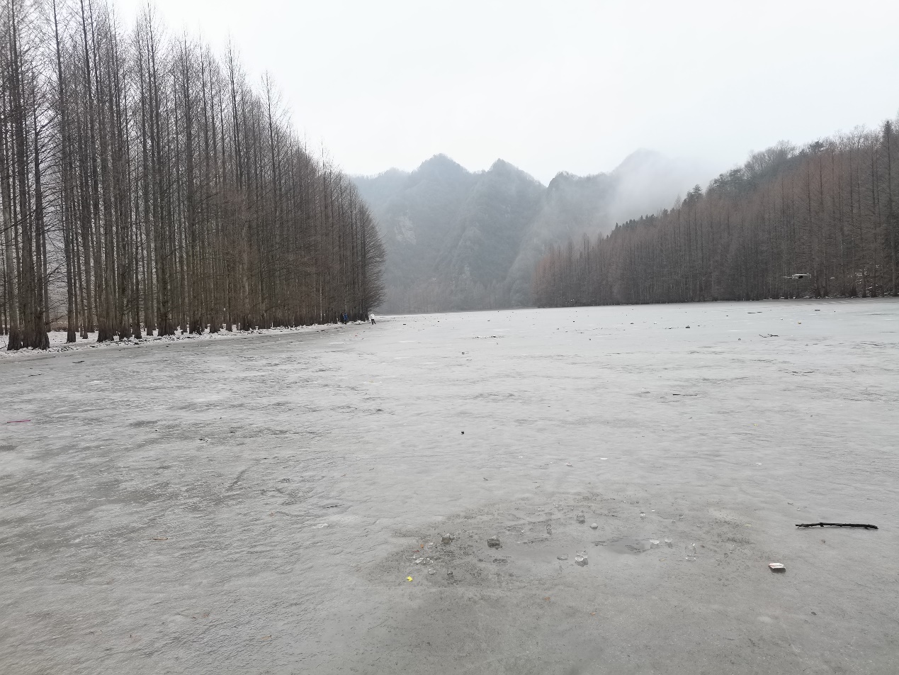 龍池之約