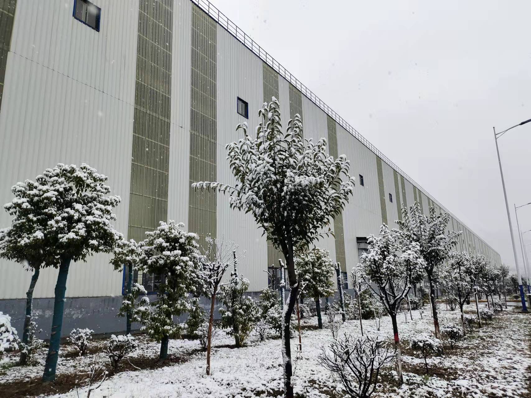春雪飛花，爛漫了整個春天