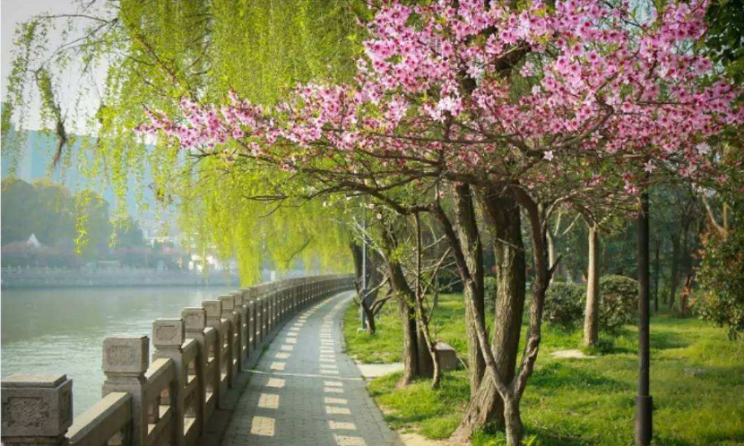 春朝花開，年月從此始