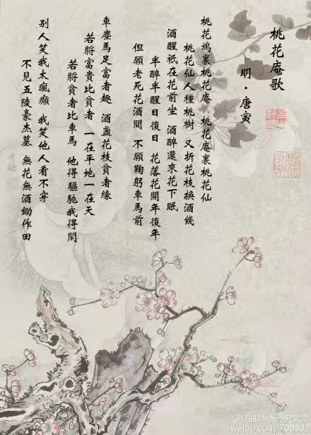想和你，看一場桃花盛開
