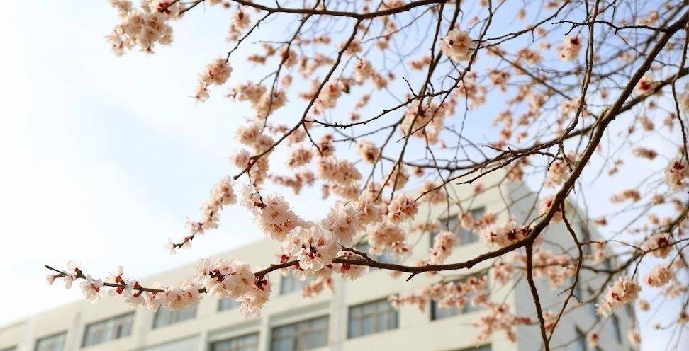 春意賦麗，生命常新