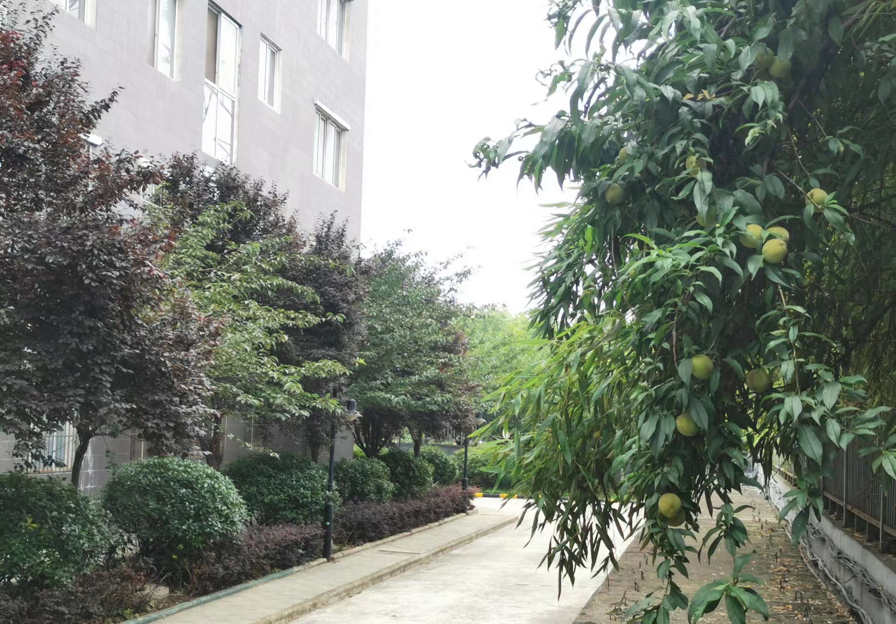 隨想