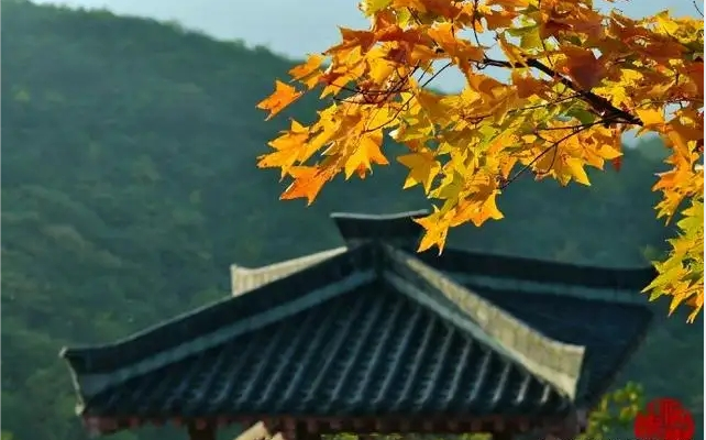 喜歡秋天
