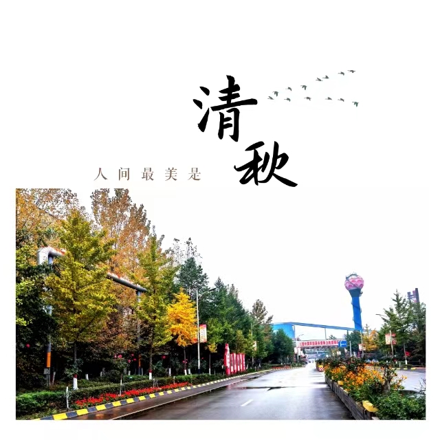 入眼皆是畫！打卡十里鋼城“花樣”秋天