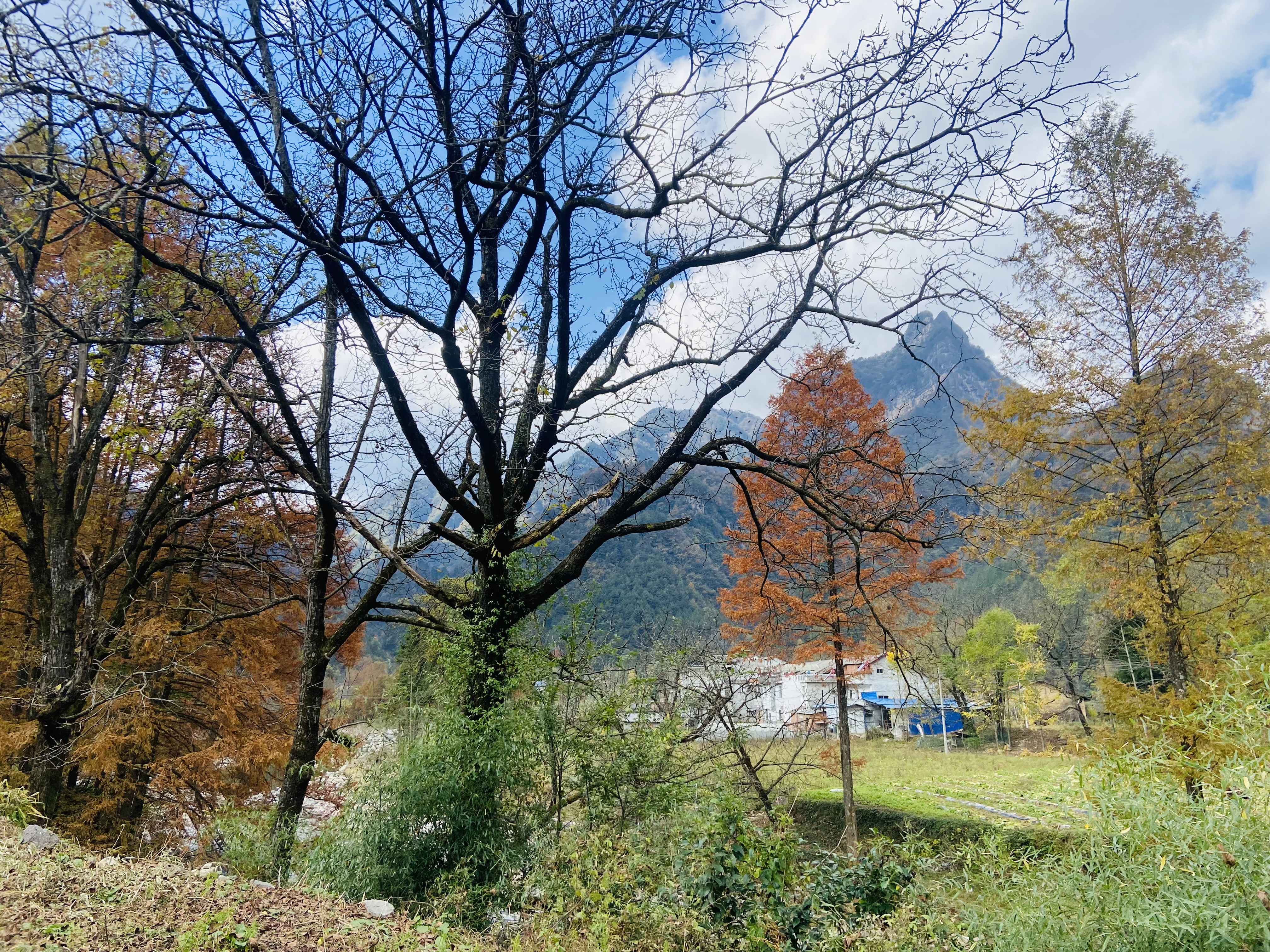 深秋的云霧寺