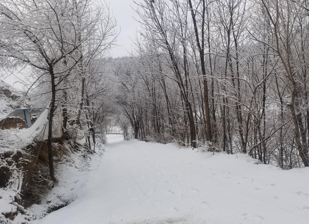 今我來思，雨雪霏霏