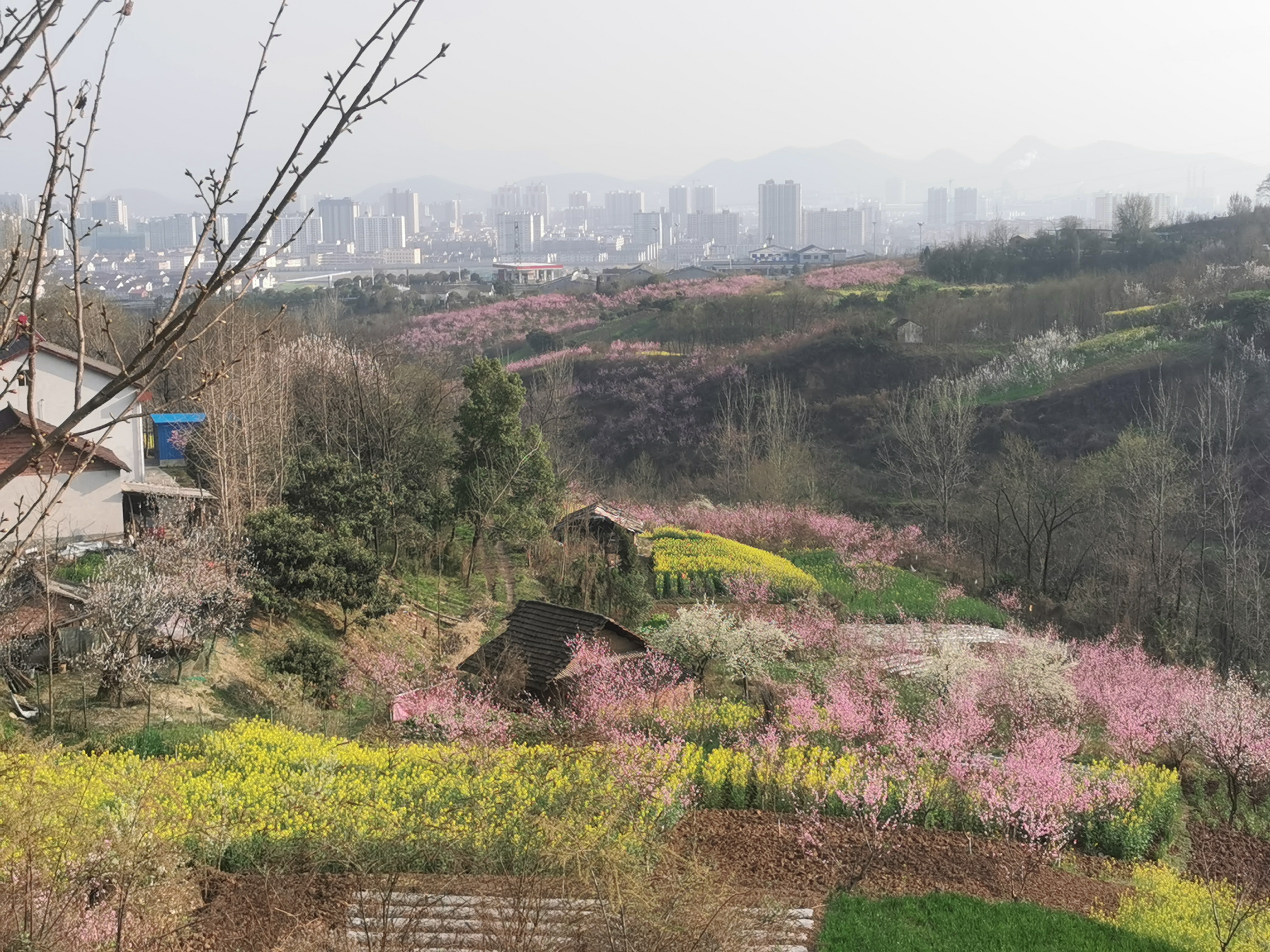 天蕩春來思四季