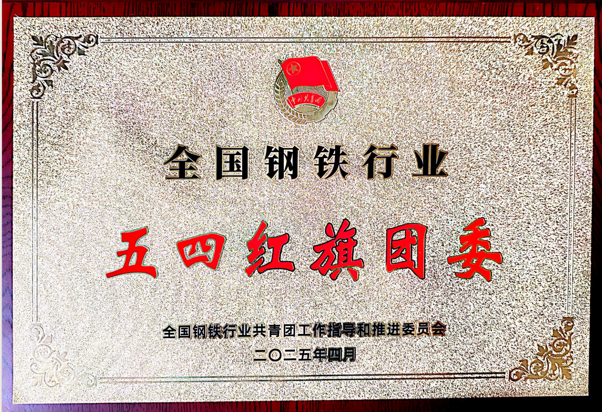 ഺ֮؟(z)Γ(dn)(dng)---ӛ2024ꡰȫFИI(y)ļtF(tun)ίh䓹˾FSF(tun)ί