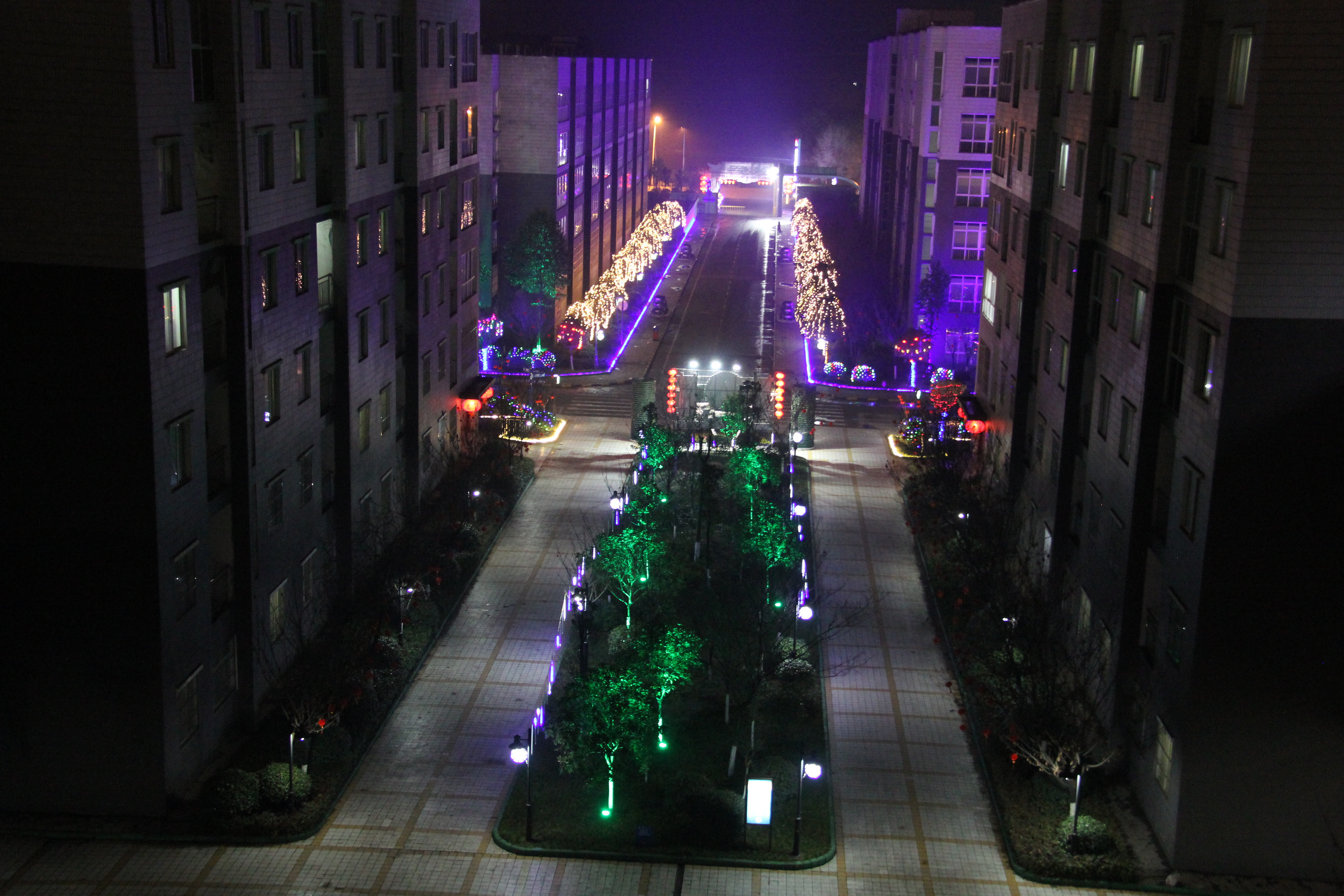 ڱϡκڲ벢e(qing)׌Tggϲϲ^