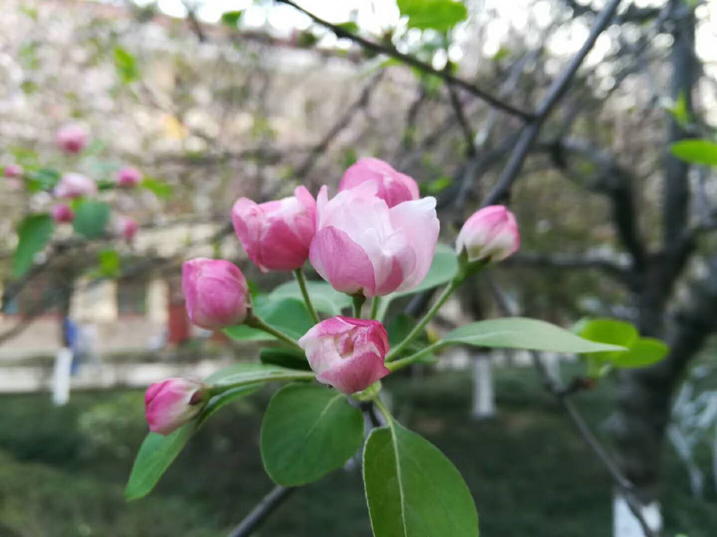 䓳Է^