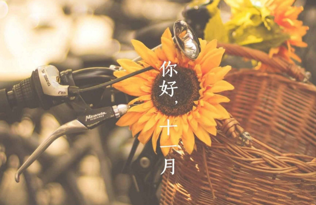 【鋼城文苑】十一月，收獲美好