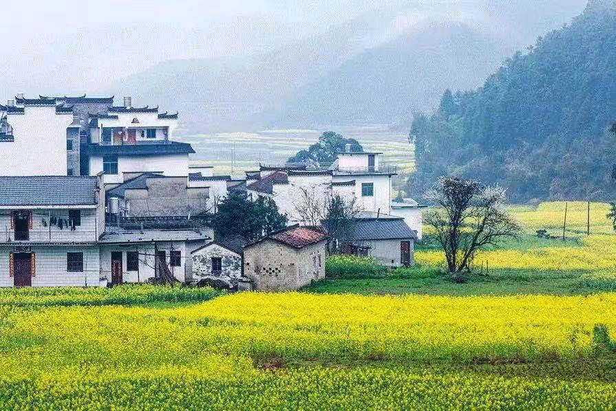 【鋼城文苑】陌上花開再逢君