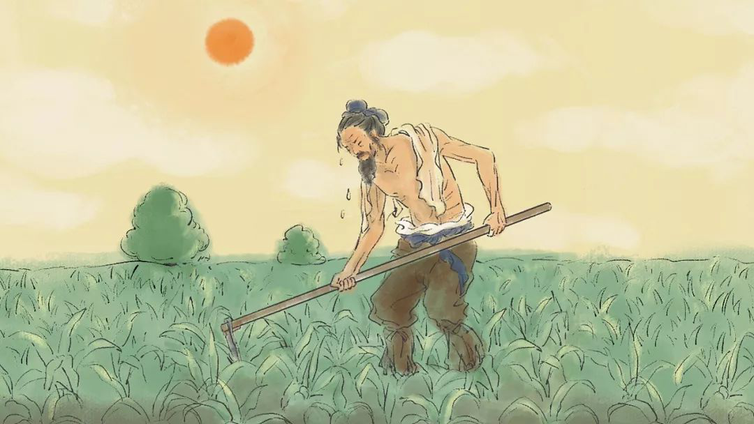 【散文】再讀《憫農(nóng)》