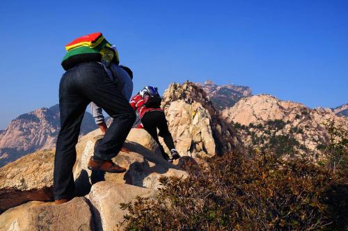 從定軍山到牛背梁，一“山”更比一“山”高