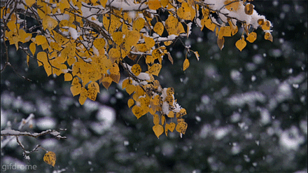 聽，雪落下的聲音