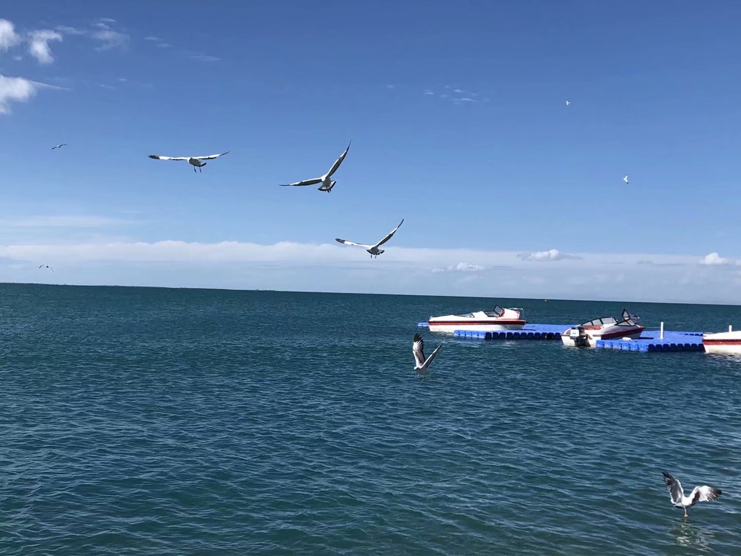 魂牽夢縈青海藍